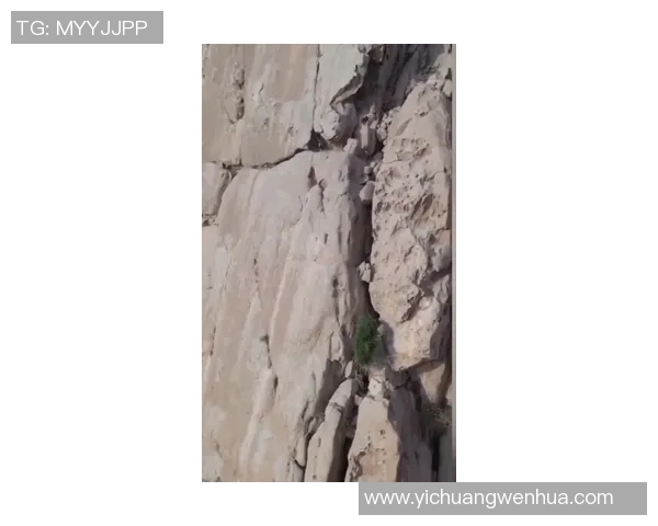 攀岩焦点：深圳攀岩队的个人能力探讨